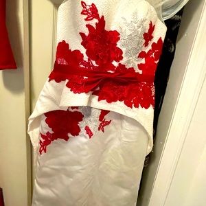 Two different dresses size 10